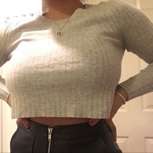 Aritzia Babaton cropped sweater